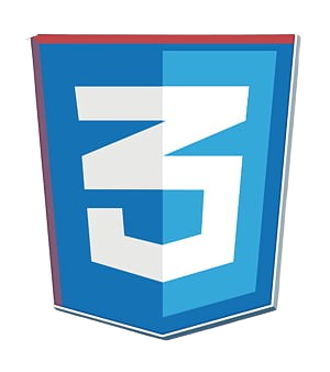 CSS Logo